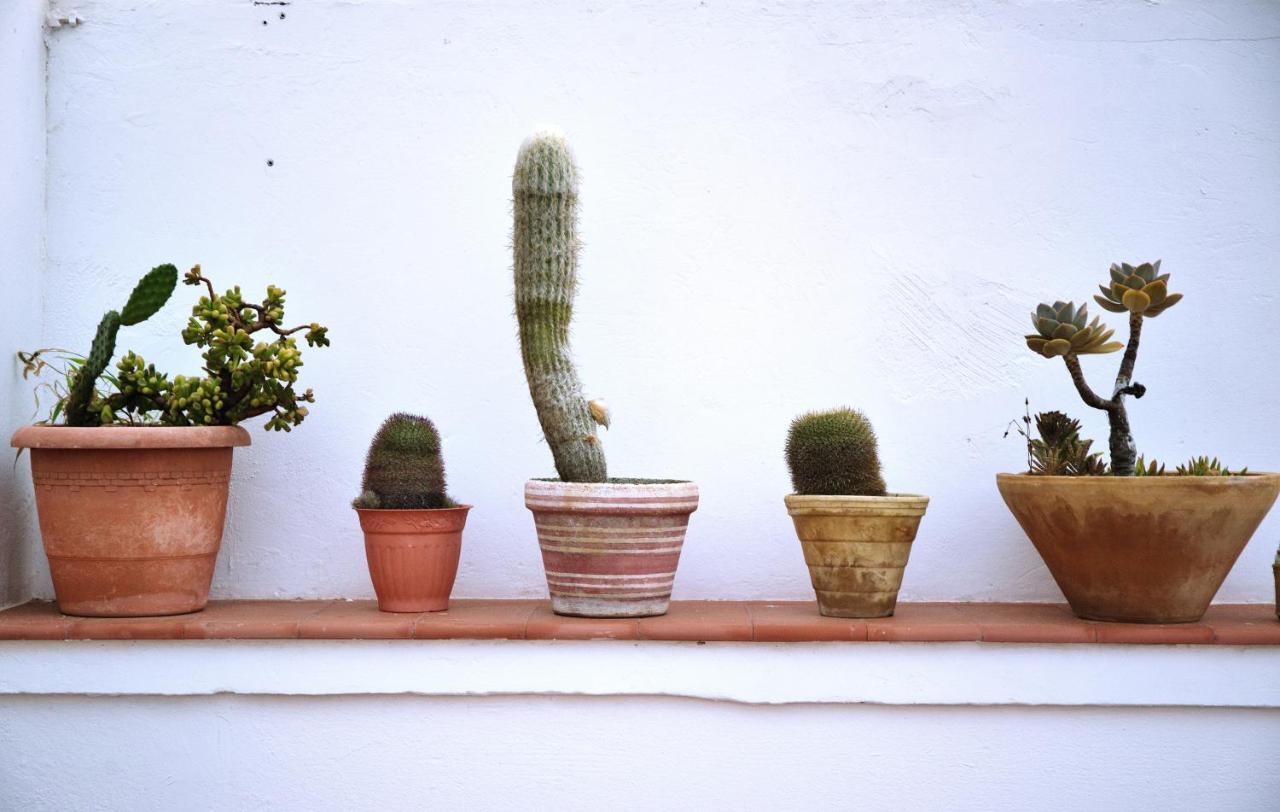 Gran Canaria Hitide Houseホステル エクステリア 写真